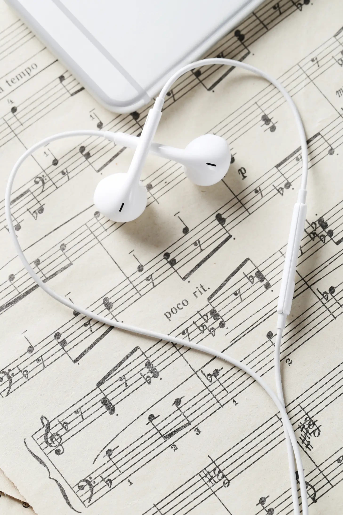 music-notes-2026-01-09-10-05-14-utc